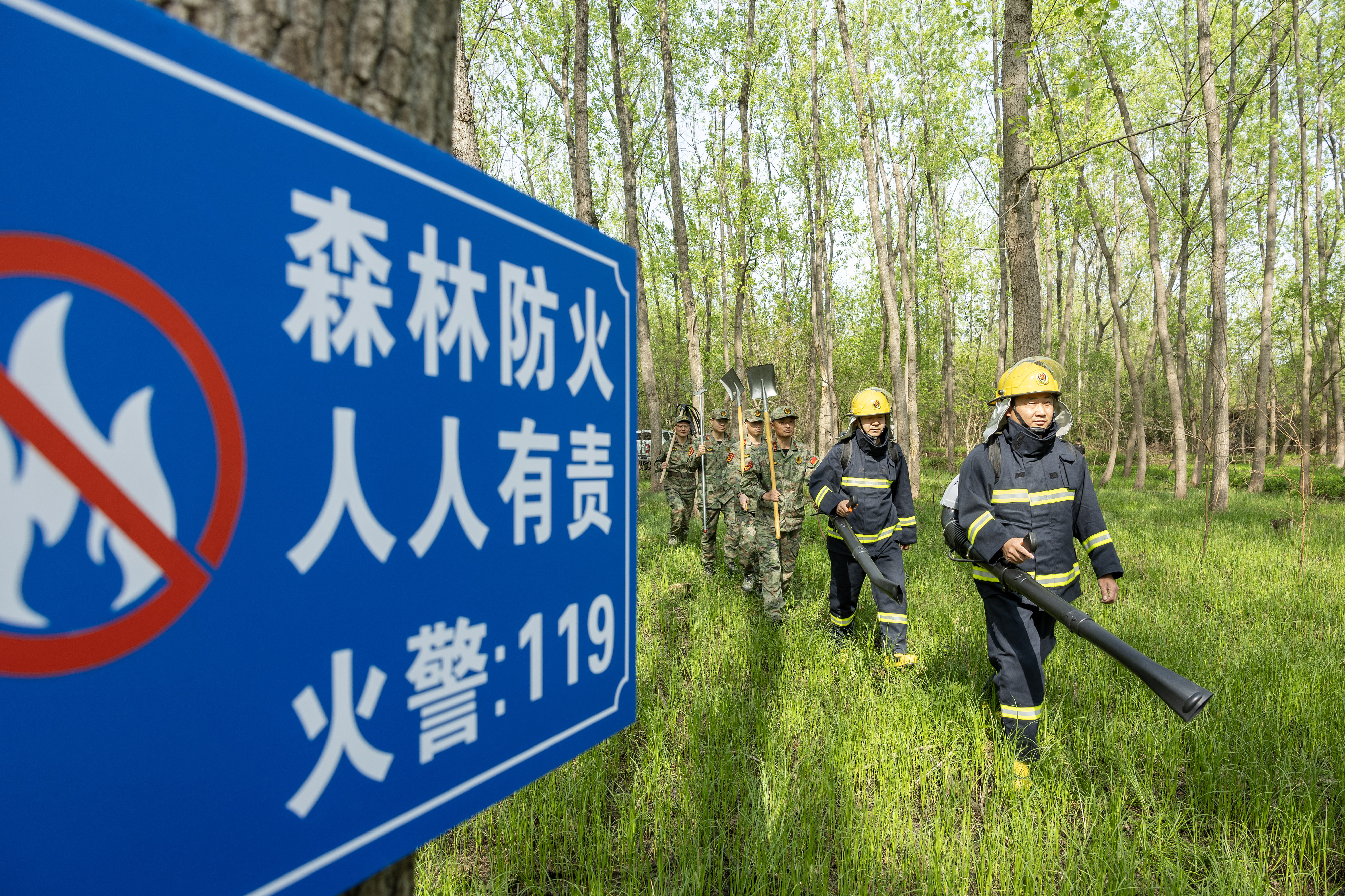 2024年4月9日，合肥市大房郢水庫水源保護地廬陽(yáng)經(jīng)濟開(kāi)發(fā)區段，基干民兵正在林間巡查火災隱患。
