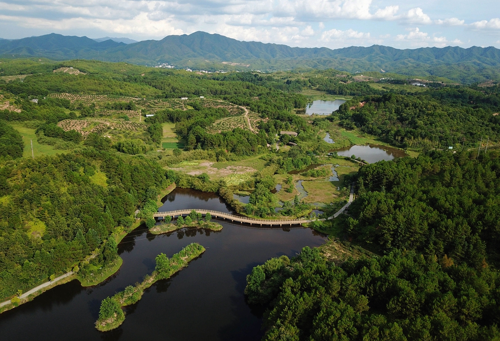 福建省龍巖市長(cháng)汀縣的長(cháng)汀汀江國家濕地公園景色（2020年7月28日攝，無(wú)人機照片）。新華社記者 魏培全 攝