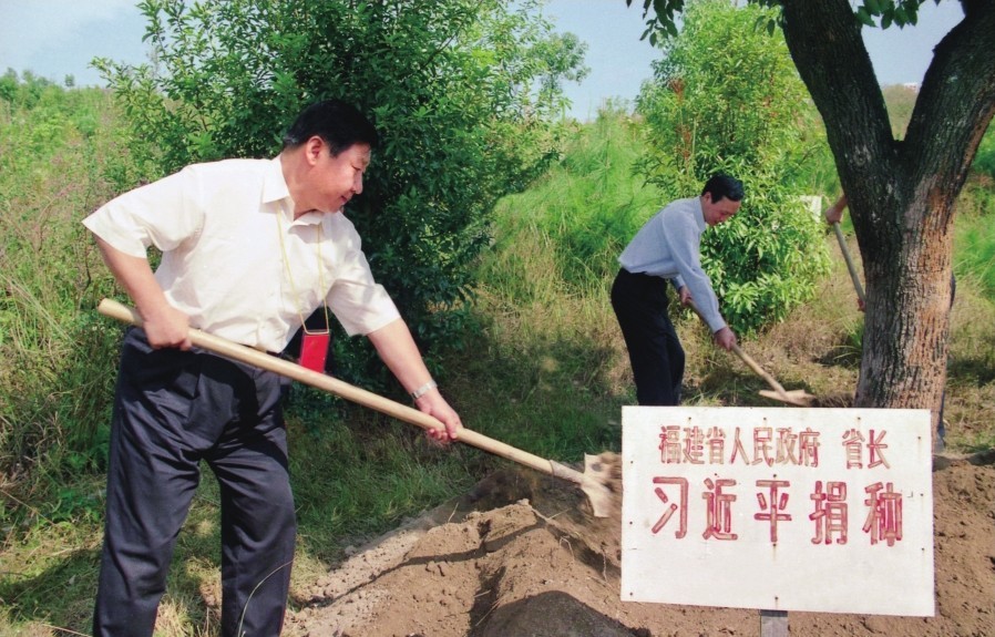 2001年10月，習近平在龍巖市長(cháng)汀縣調研水土流失治理工作，在河田世紀生態(tài)園為樹(shù)培土。圖源：《習近平在福建（下）》
