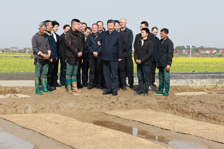 2024年3月18日至21日，中共中央總書(shū)記、國家主席、中央軍委主席習近平在湖南考察。這是19日下午，習近平在常德市鼎城區謝家鋪鎮港中坪村走進(jìn)田間，察看秧苗培育和春耕備耕進(jìn)展。新華社記者 王曄 攝